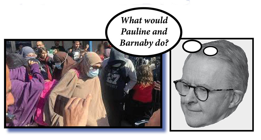 Albanese takes aim at ‘contemptibles’