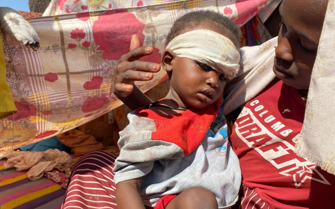 UN accuses paramilitary RSF of committing war crimes in Sudan’s el-Fasher