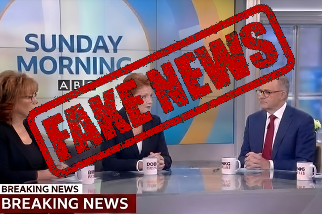 Pauline Hanson anti-Islam backlash amid tidal wave of AI misinformation