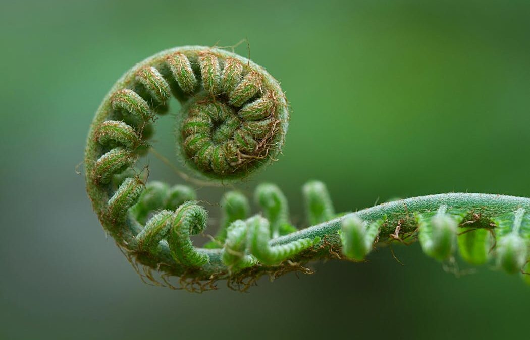 How Indigenous ideas about non-linear time can help us navigate ecological crises