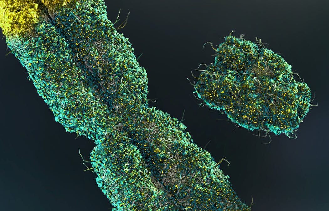 Men lose their Y chromosome as they age. Scientists thought it didn’t matter – but now we’re learning more