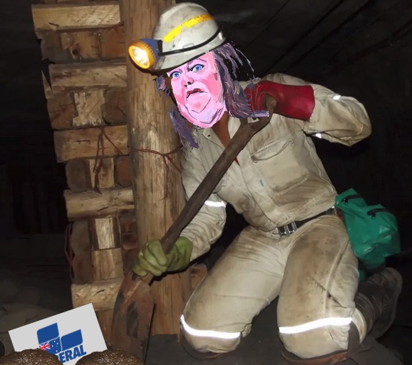 Rinehart solves Libs’ report problem