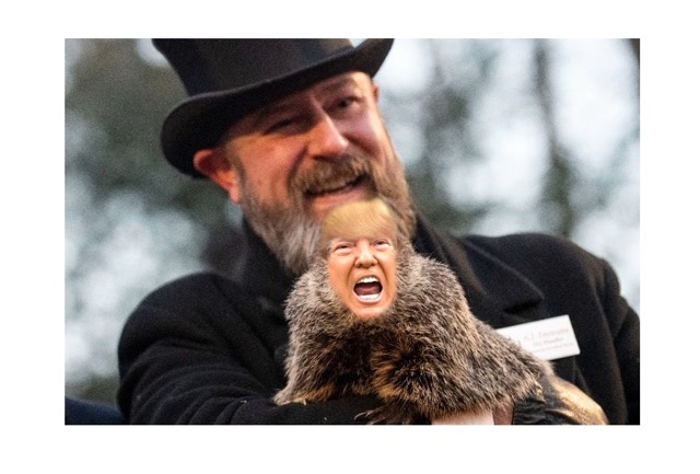 Groundhog offers no good news