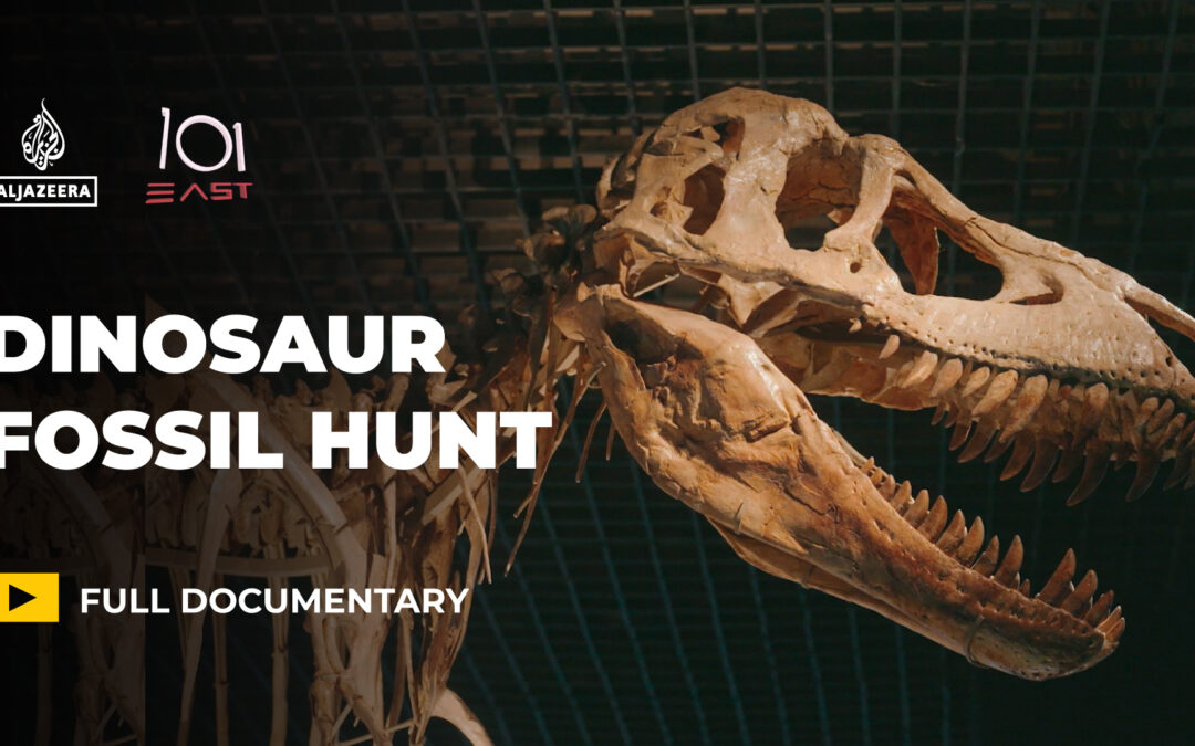 Dinosaurs for sale: Is the global fossil market harming science?