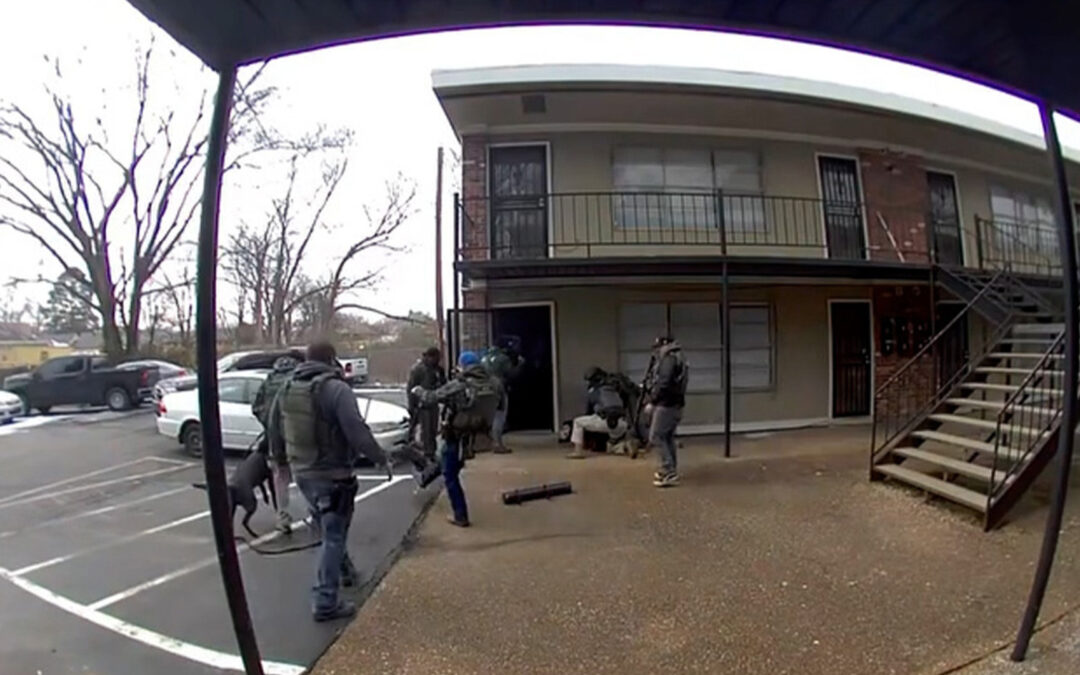 US federal agent breaks pet dog’s rib in Tennessee