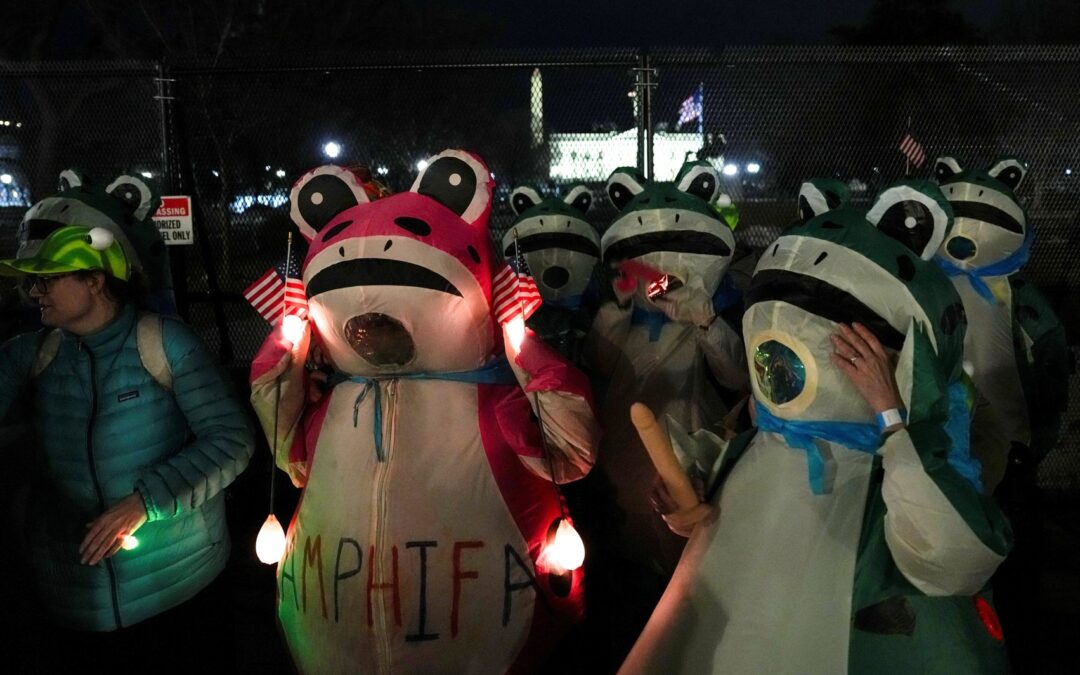 Demonstrators in frog costumes protest Trump’s State of the Union