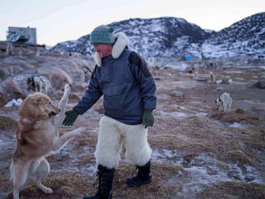 A Greenland sled dog champion fears for his culture as climate change melts the ice