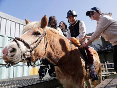 Children with disabilities find joy and support through horse therapy in Taiwan