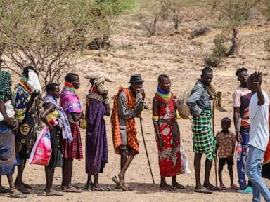 Animals dying in Kenya as drought conditions leave many hungry