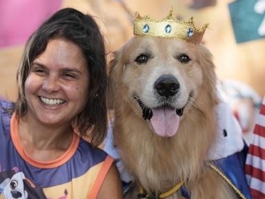 Rio Carnival street party dogs parade as humans protest against pet killers
