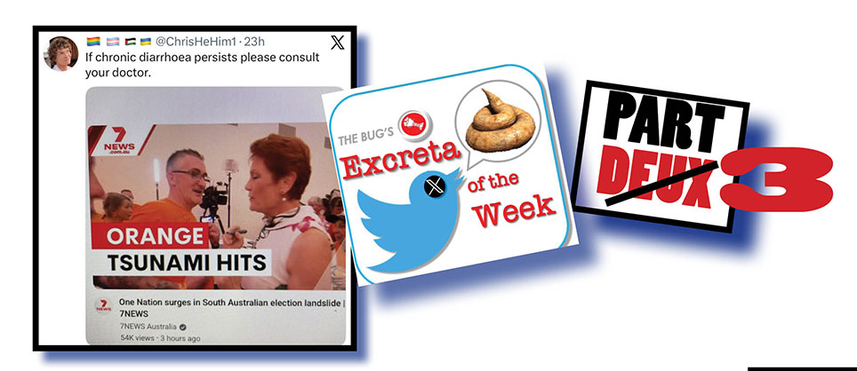 Agents of orange bask in the moment!