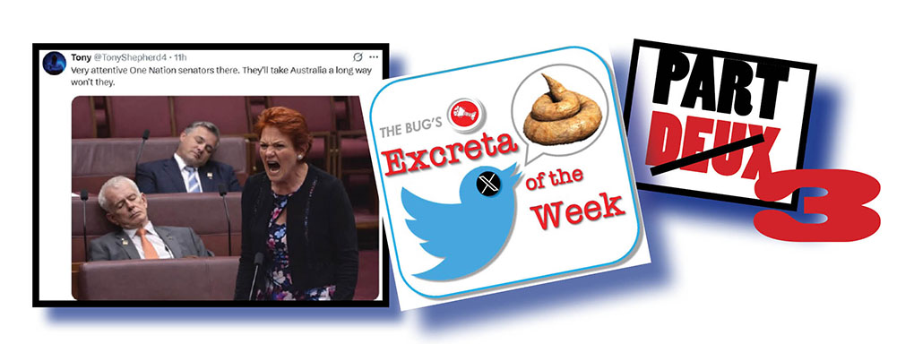 Say hello to our next government leaders!