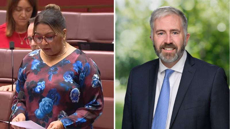 “Subsidising violence.” Labor accused of looking the other way