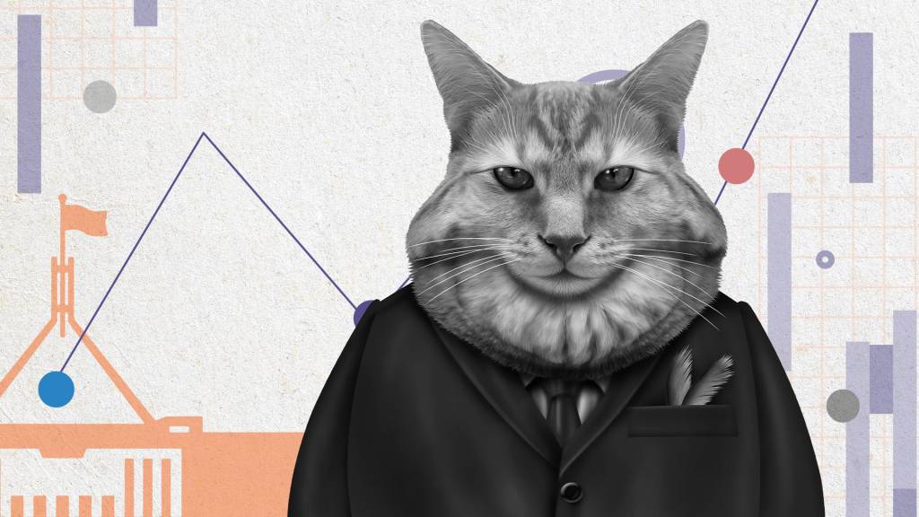 Fat cats: What public servants really make
