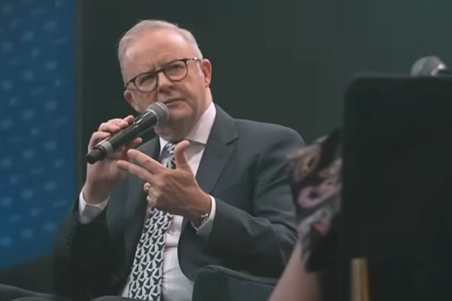 Albanese, your moment of truth is now