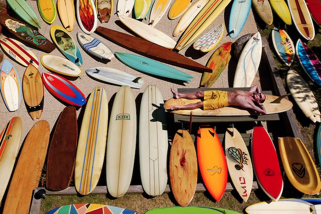 Colour me stoked: Torquay's 'chairman of the board'