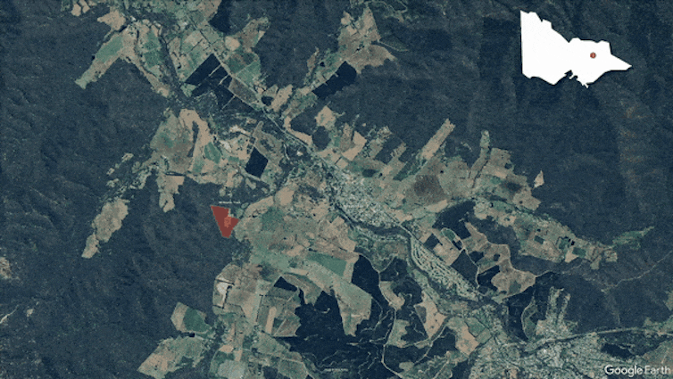 After 216 days on the run, how was Dezi Freeman caught and what happens now?