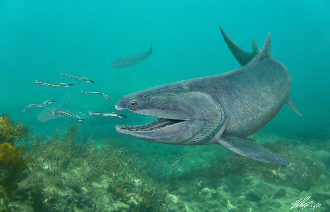 New fossil reveals the weird ‘tooth cushions’ of an apex predator from 425 million years ago