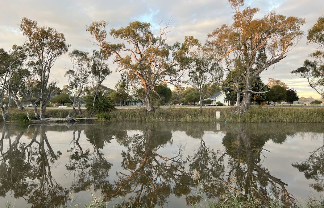 ‘I lost hope in humanity, but I now call myself human’: what refugees told us about settling in regional Australia