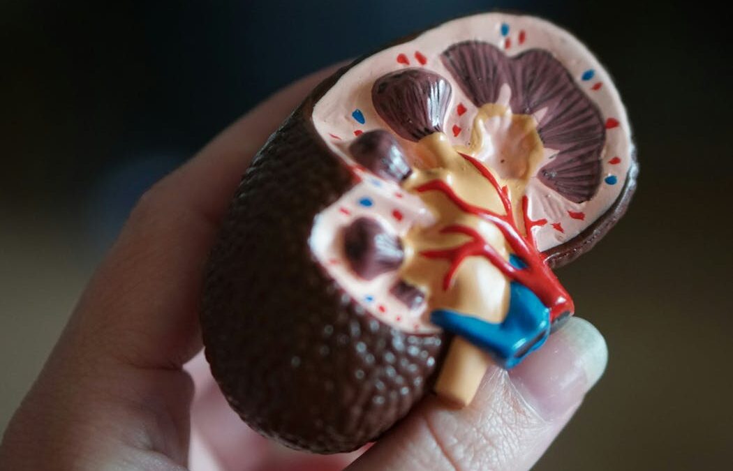 I’m a kidney surgeon. Here’s why I hope I never see you