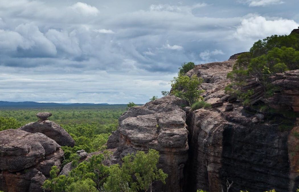 Australia has dedicated more than 20% of its land to conservation but not where it matters most