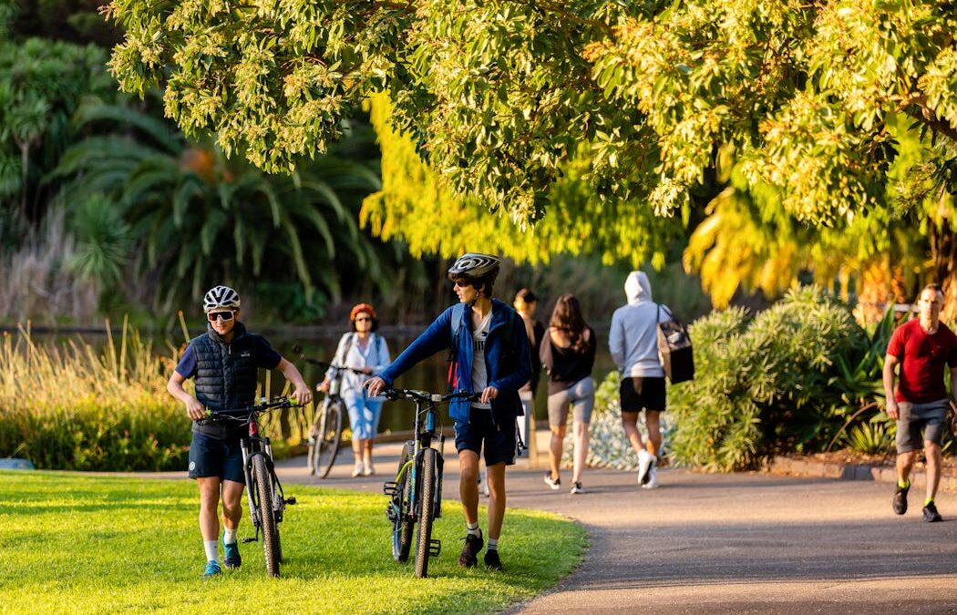 Parks are sanctuaries but can also harbour disease – here’s how to protect yourself
