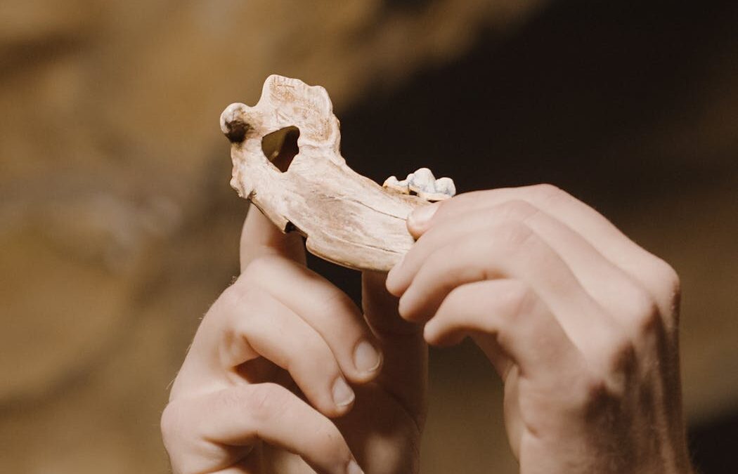 Ancient bones show dogs have been woven into human life for nearly 16,000 years