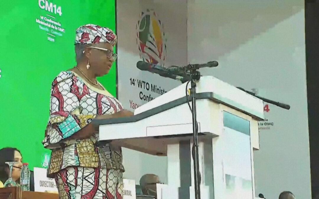 WTO says world experiencing worst trade disruption in 80 years