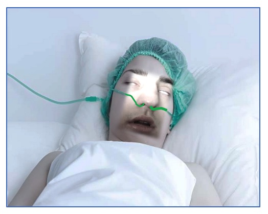 Dream ending to Trump’s reign