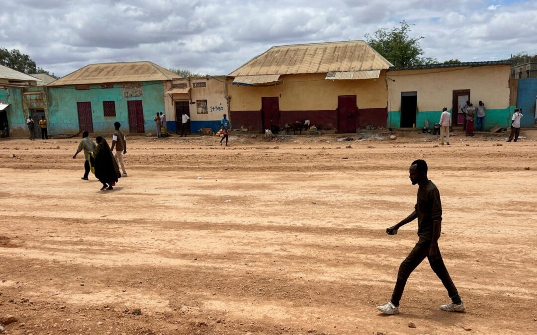 Somali army takes over key city in Southwest as state leader resigns