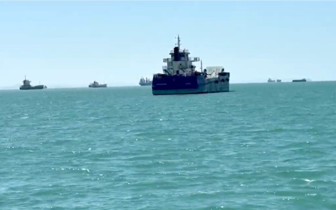 Canadian YouTuber captures congestion of dozens of ships in Hormuz Strait