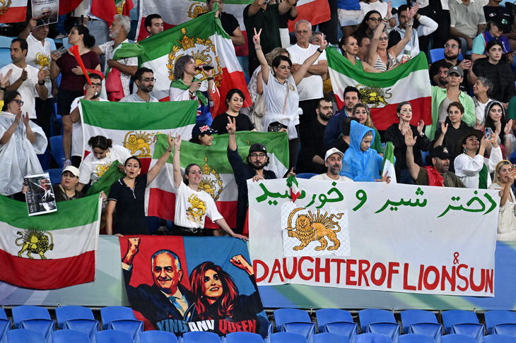 Lionesses in the land of Oz