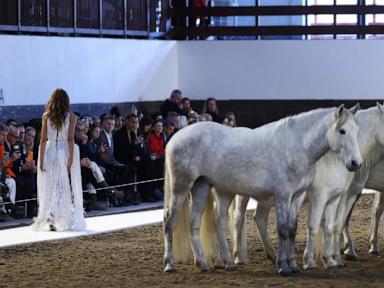 Stella McCartney lets horses steal the show — and makes her point in Paris without saying a word