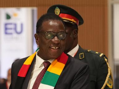 Zimbabwe detains top opponent of changes extending president’s rule