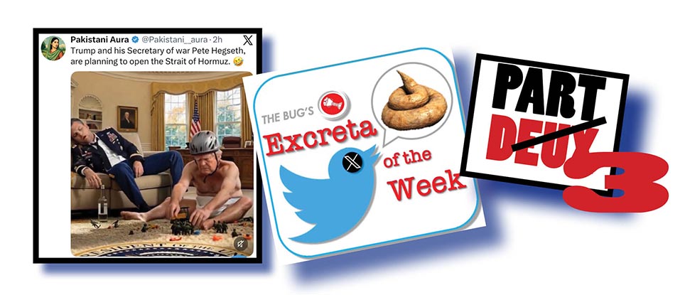 The world’s in safe hams!