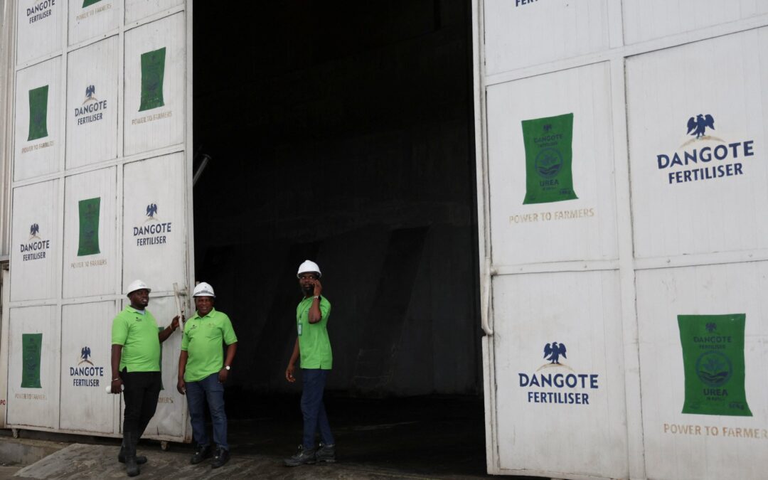 African governments need to take urgent action on fertiliser shortages