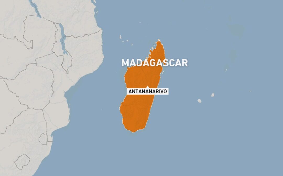 Madagascar detains French ex-serviceman over alleged destabilisation plot