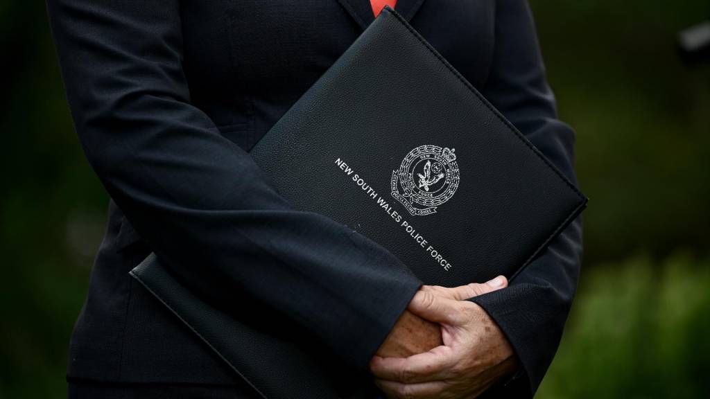 Antisemitism royal commission calls out disjointed national gun registry and buyback