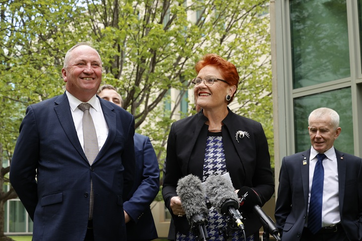 Pauline Hanson: straight to number one