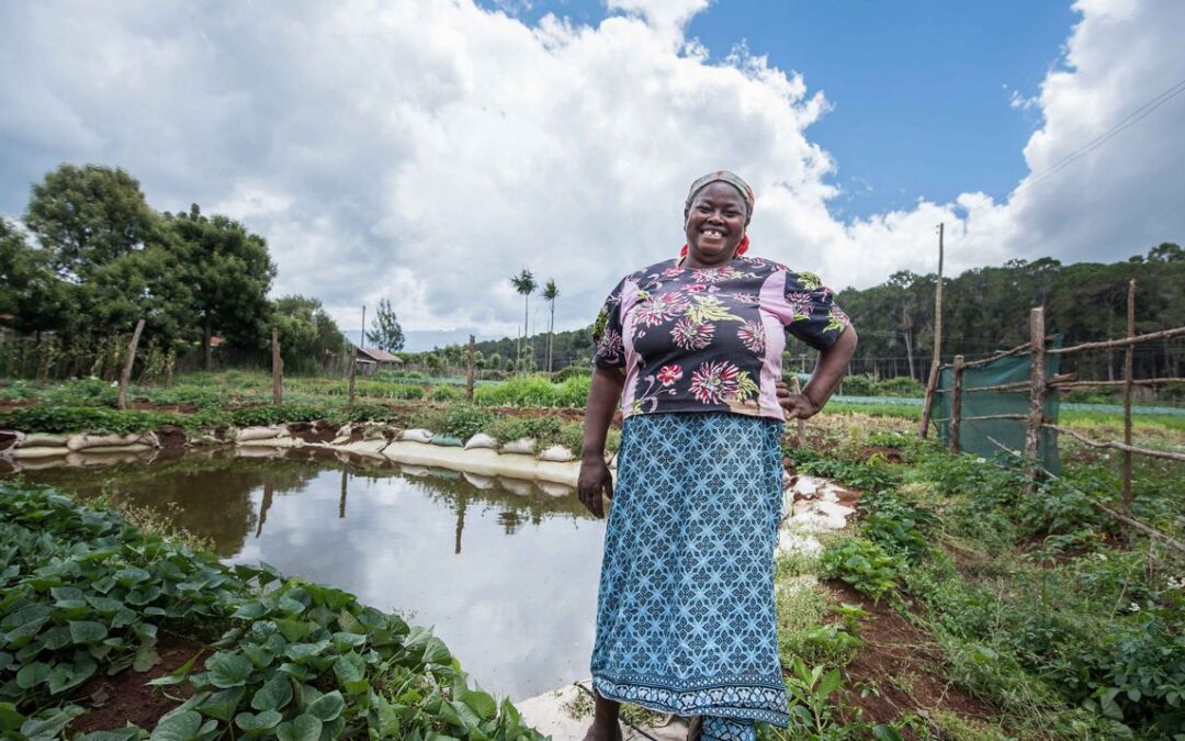 Cities are turning climate adaptation into investable projects