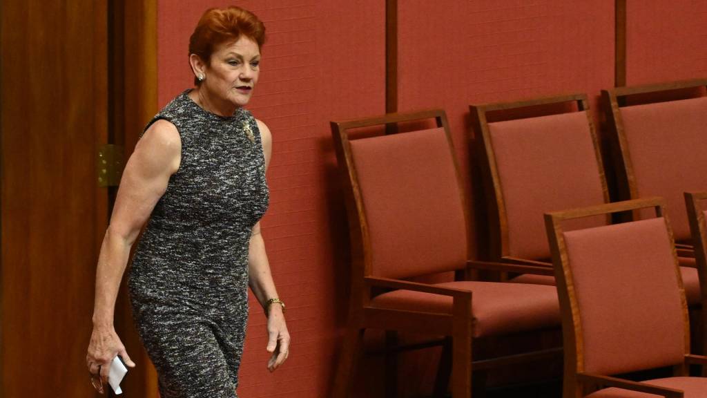 DPS investigating the cause of One Nation policy leak