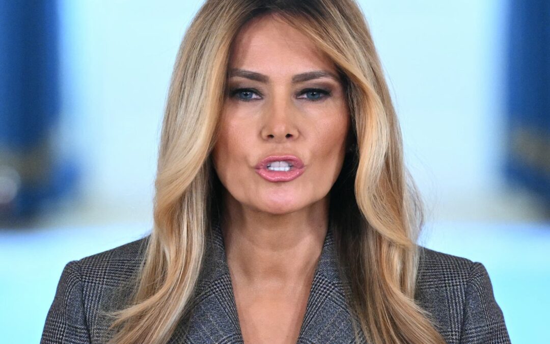 US First Lady Melania Trump denies connection to Epstein in rare speech