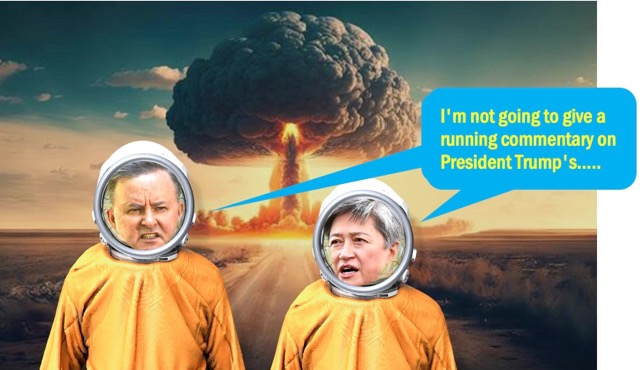 Albo workshops a new line