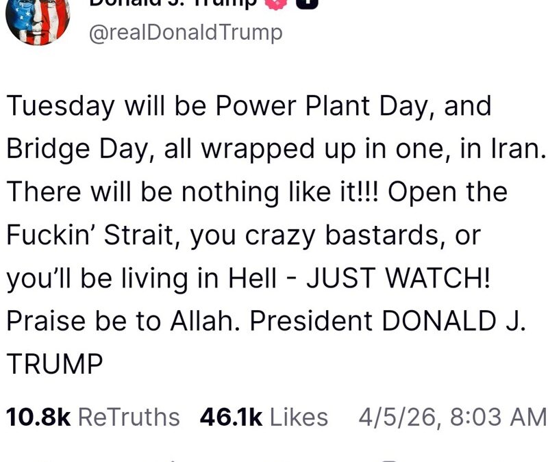 Stop the stupid! Donald Trump & Co have got to go