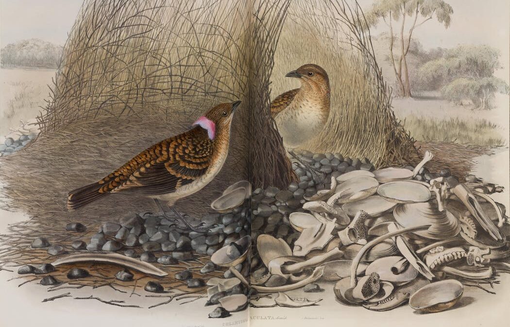 Jane Ward Tost was a trailblazer in natural sciences – until history forgot her