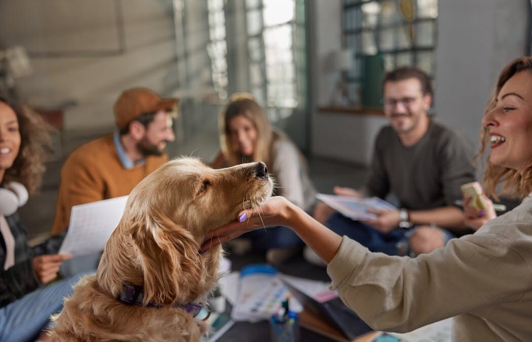 Want a dog-friendly workplace? Here’s what you’ll need to get right