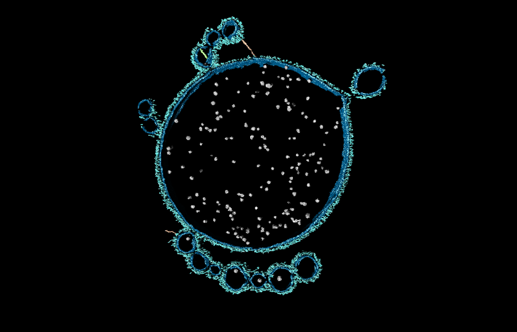 ‘First contact’ that may have led to complex life on Earth finally witnessed by scientists