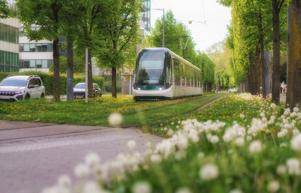 Green tram tracks cut heat and beautify cities. Why isn’t Australia doing it?