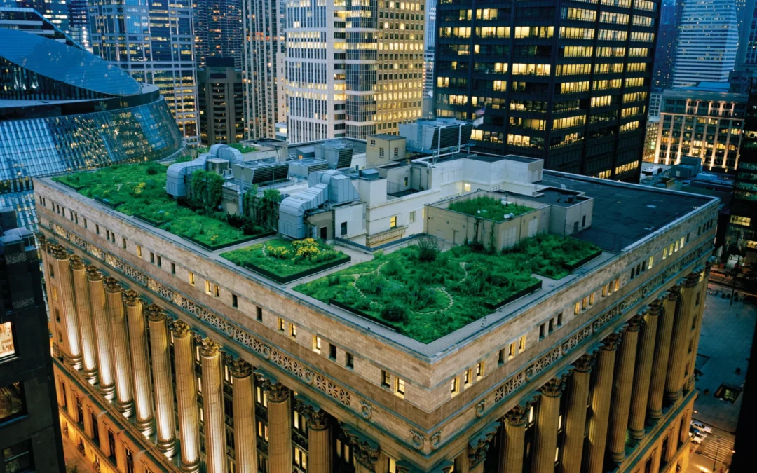 What net positive means for business to deliver sustainability