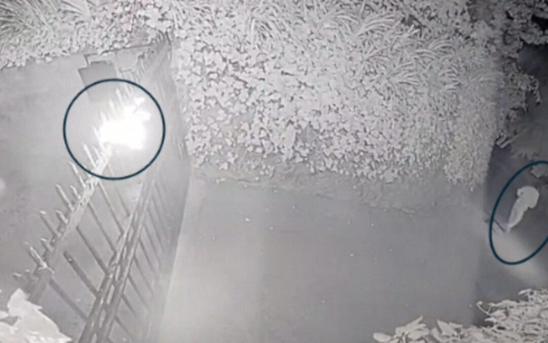 Man charged with attempted murder of OpenAI CEO Sam Altman